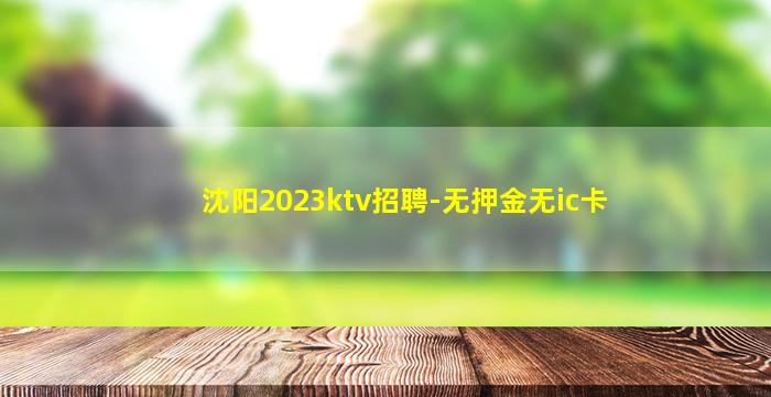沈阳2023ktv招聘-无押金无ic卡